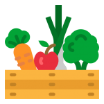 App para no tirar comida