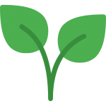 Montar un herbolario online