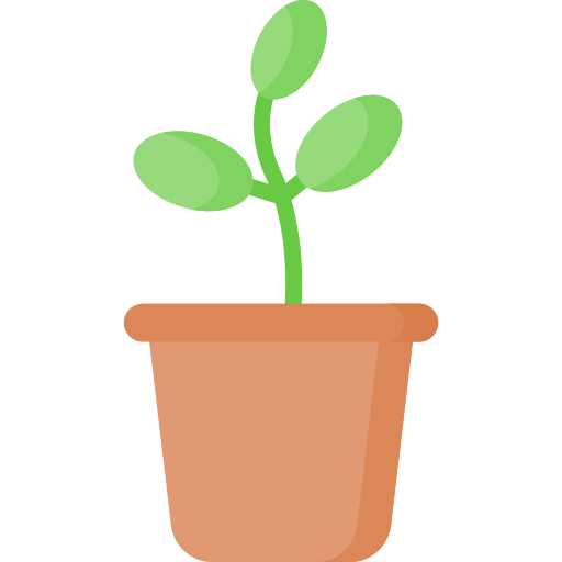 ¿Cómo hacer plantas para vender?