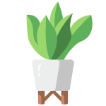 Plantas rentables para vender