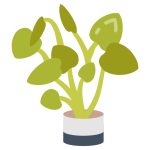 Cupones Descuento Ikea